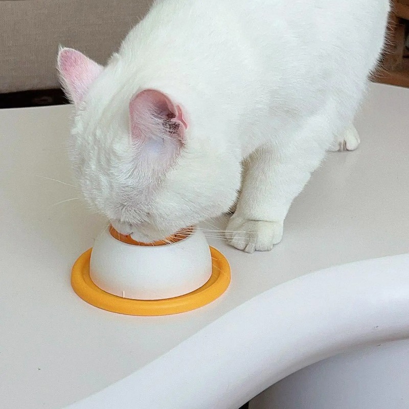 Pet Slow Food Bowl Dog Cat Lic - Dog Puzzle Feeder Toy review and price