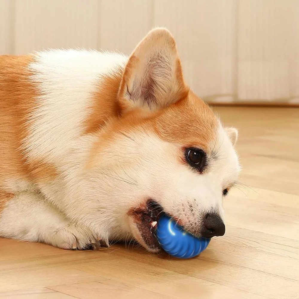 New 1pc Automatic Moving Dog T - Automatic Moving Dog Ball review and price