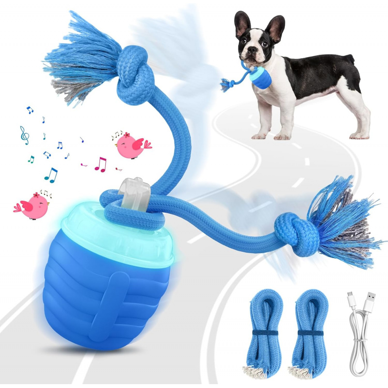2026 Upgraded Automatic Moving - Automatic Moving Dog Ball review and price
