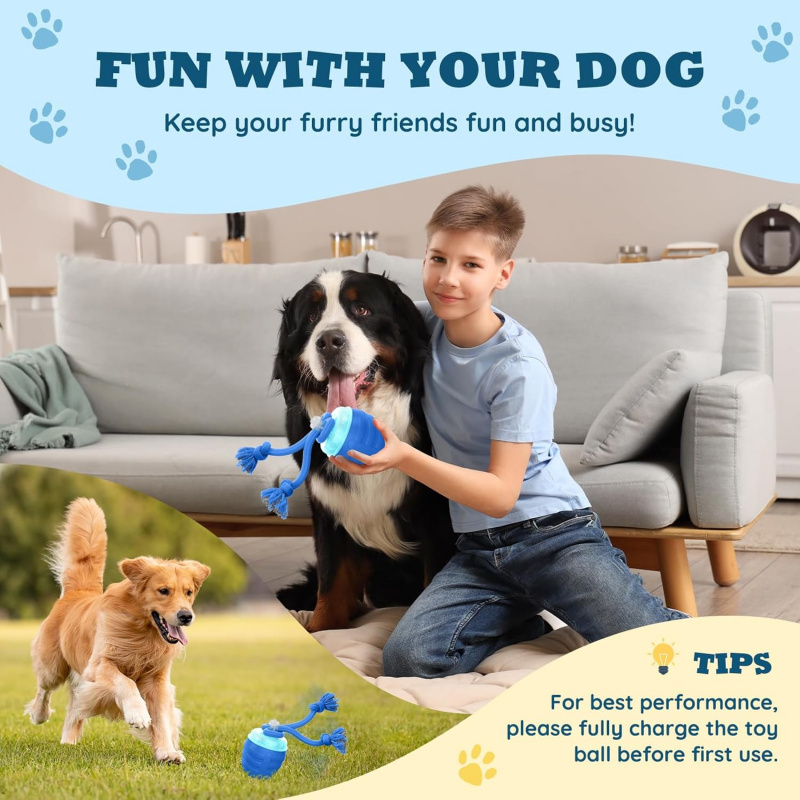 2026 Upgraded Automatic Moving - Automatic Moving Dog Ball review and price
