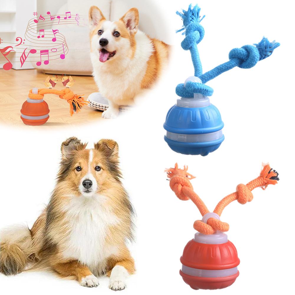 Smart Rechargeable Dog Ball In - Automatic Moving Dog Ball review and price