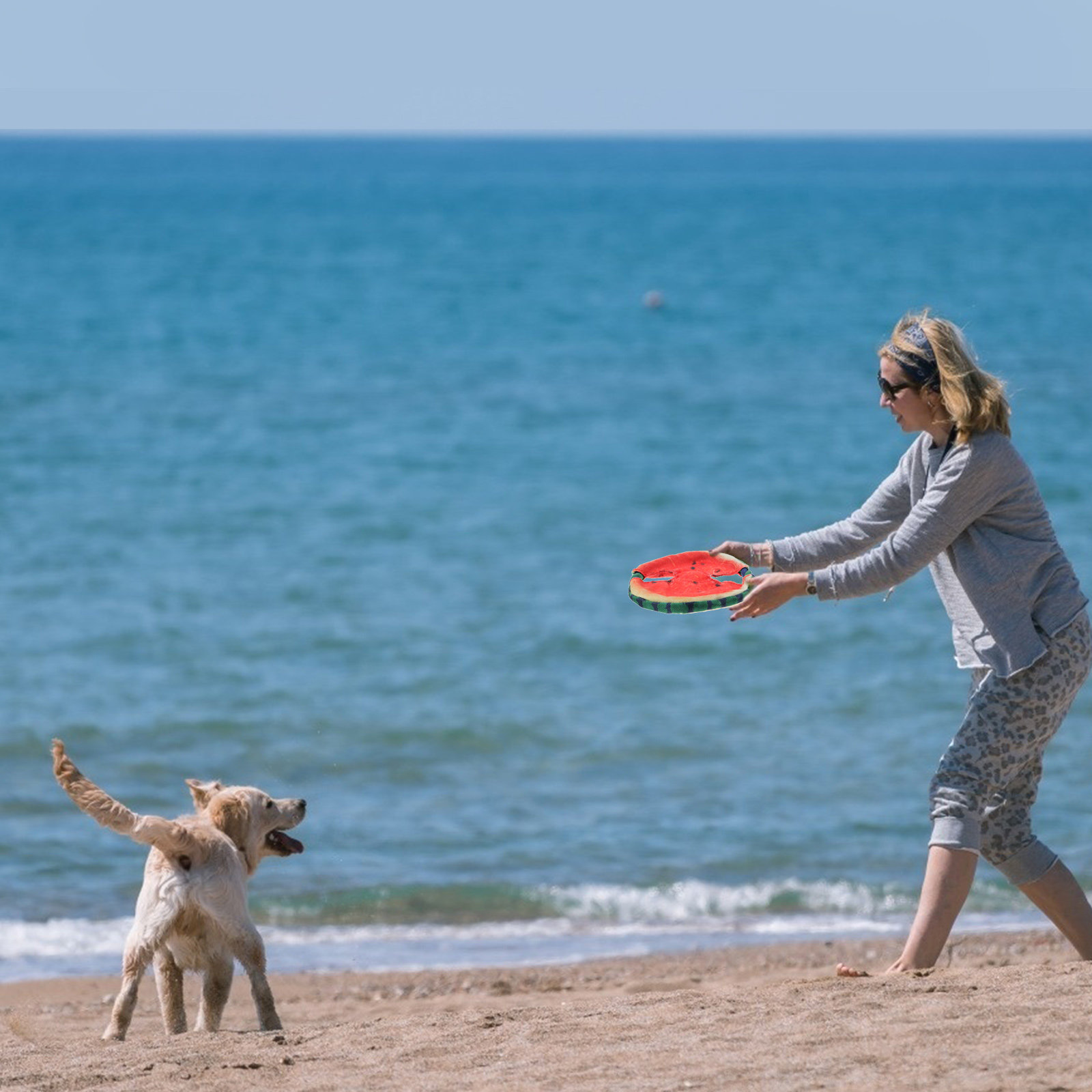 Dog Flying Disc Floating Water - Flying Disc Dog Training Toy review and price