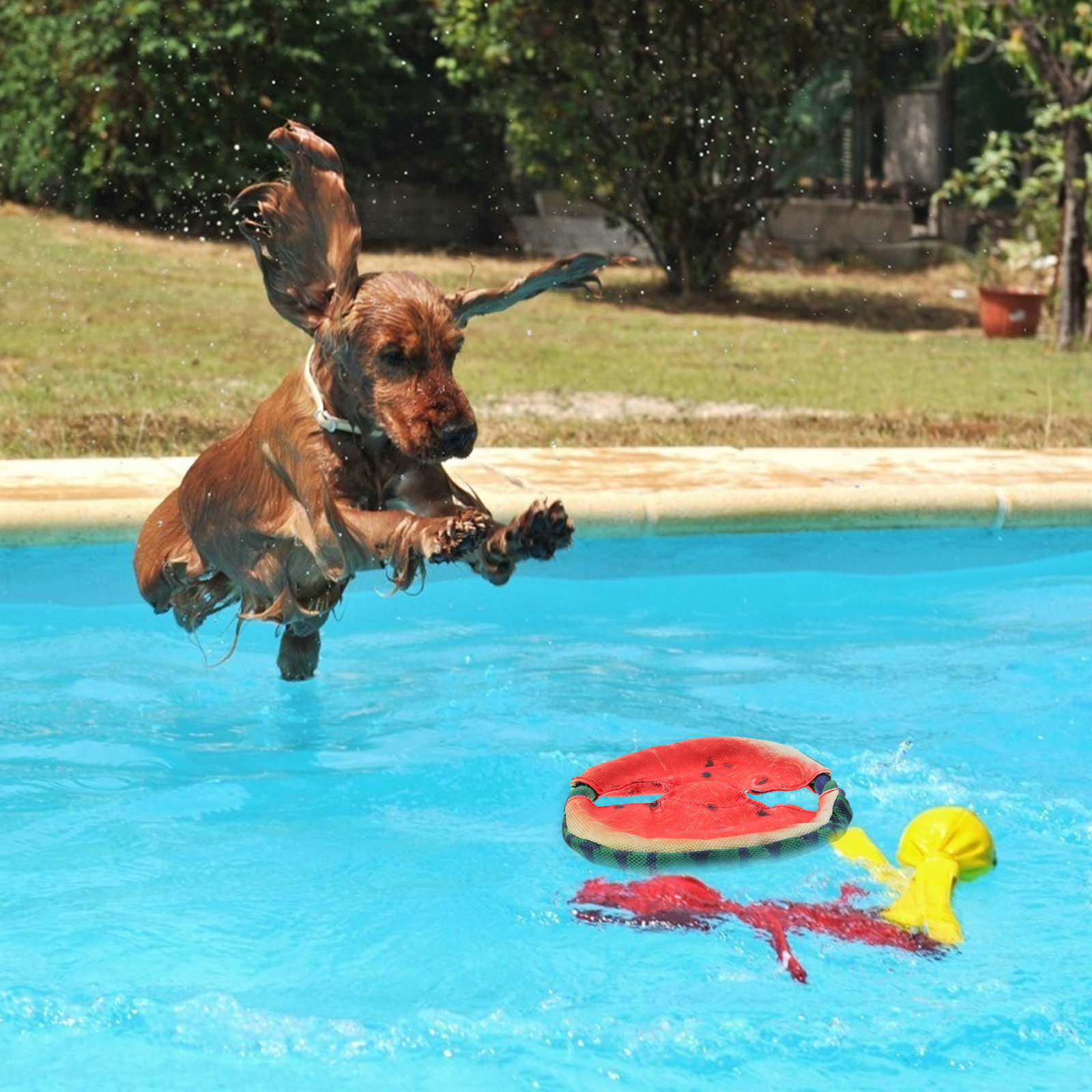 Dog Flying Disc Floating Water - Flying Disc Dog Training Toy review and price