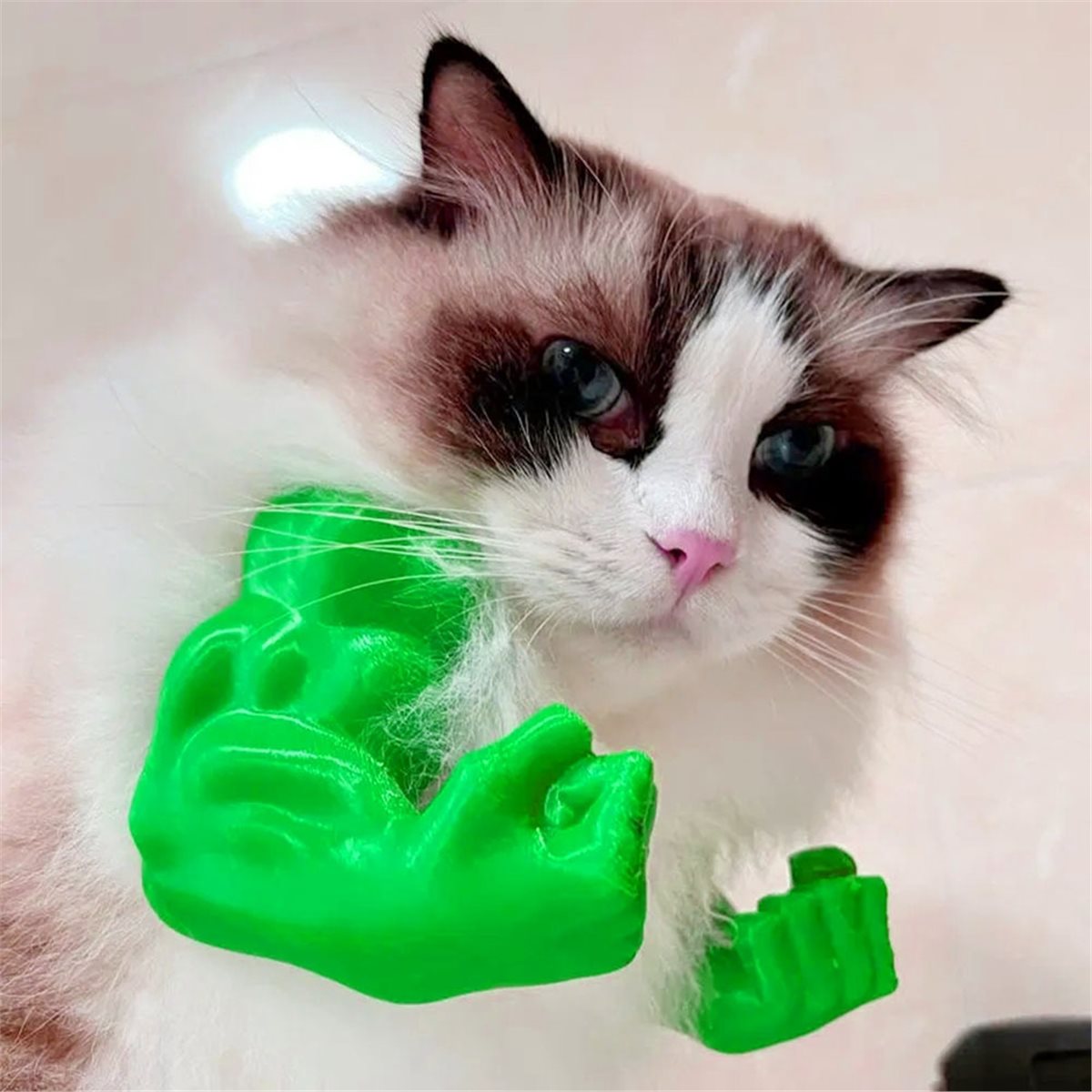 NEWCat Muscle Arm Pendant Pet  - Cat Toys review and price