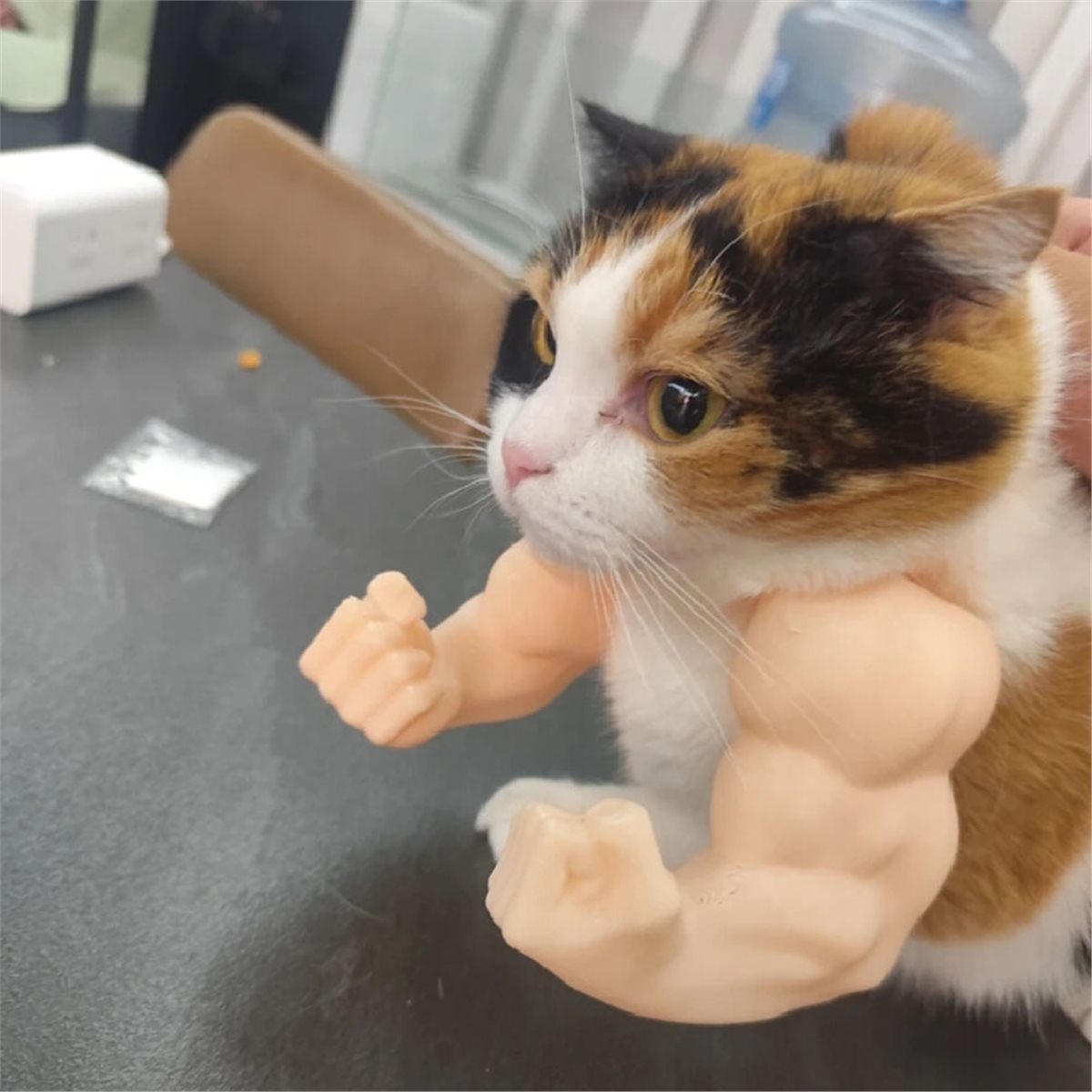 NEWCat Muscle Arm Pendant Pet  - Cat Toys review and price